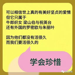 字若教育，德润无声